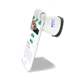 ����С�ν�Ĥ�����