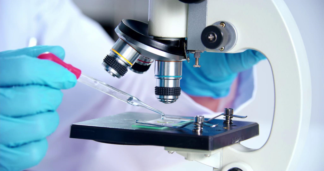 ×ðÁú¿Ê±- ¹Ù·½ÍøÕ¾